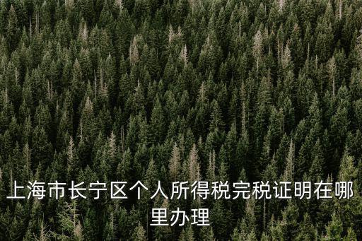 上海市長(zhǎng)寧區(qū)個(gè)人所得稅完稅證明在哪里辦理