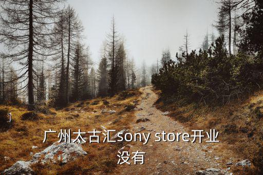 sony store廣州太古匯店，廣州太古匯索尼直營店有網店嗎