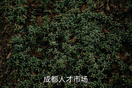 成都人才市場