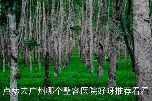 點(diǎn)痣去廣州哪個(gè)整容醫(yī)院好呀推薦看看