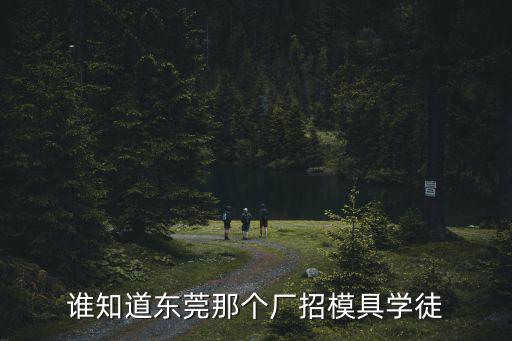 誰知道東莞那個廠招模具學徒
