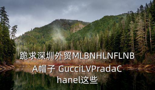 深圳 高仿名牌包，深圳東門哪里有仿LVPRADAGUCCIHERMES錢包手提包銷售