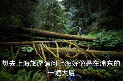 想去上海旅游請問上海好像是在浦東的一幢大廈