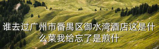 誰(shuí)去過(guò)廣州市番禺區(qū)御水灣酒店這是什么菜我給忘了是煎什