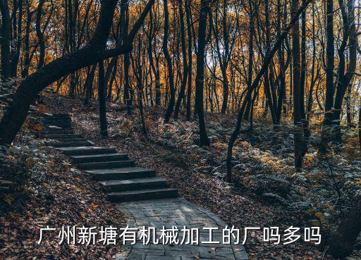 廣州新塘有機(jī)械加工的廠嗎多嗎