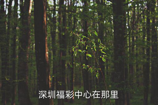 深圳福彩中心在那里