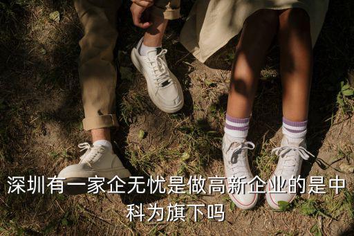 深圳有一家企無(wú)憂是做高新企業(yè)的是中科為旗下嗎