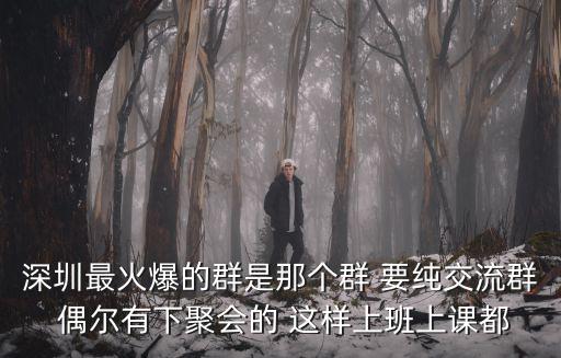 深圳最火爆的群是那個群 要純交流群 偶爾有下聚會的 這樣上班上課都