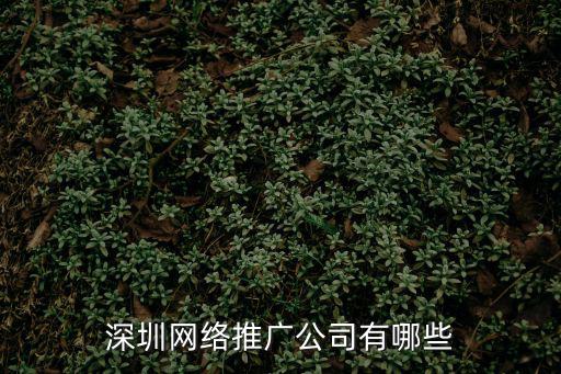 深圳網(wǎng)絡(luò)推廣公司有哪些