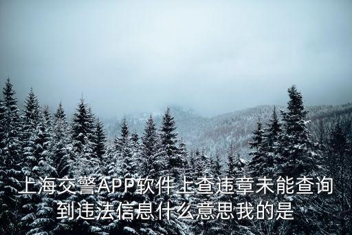 上海交警APP軟件上查違章未能查詢到違法信息什么意思我的是