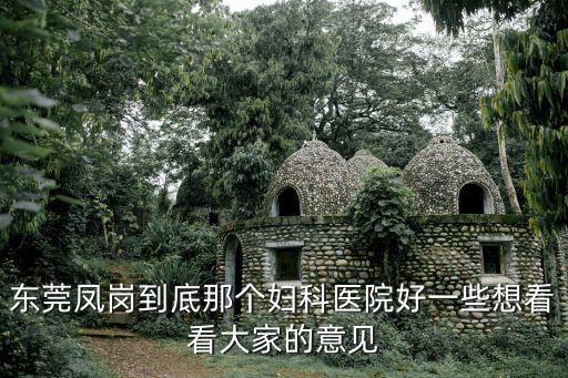東莞鳳崗到底那個婦科醫(yī)院好一些想看看大家的意見