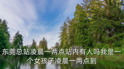 東莞總站凌晨一兩點站內(nèi)有人嗎我是一個女孩子凌晨一兩點到