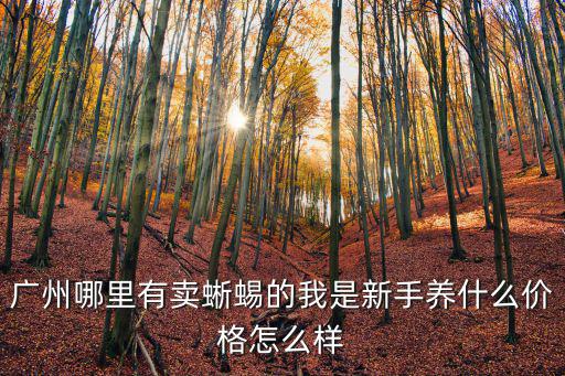 廣州哪里有賣蜥蜴的我是新手養(yǎng)什么價(jià)格怎么樣