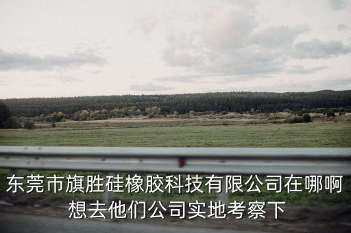 東莞市旗勝硅橡膠科技有限公司在哪啊 想去他們公司實(shí)地考察下