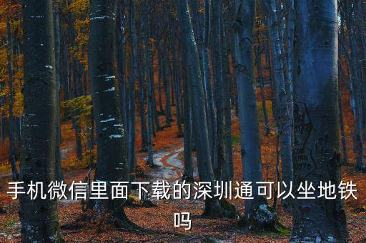 手機(jī)微信里面下載的深圳通可以坐地鐵嗎