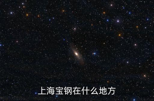 上海寶鋼在什么地方