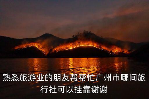 熟悉旅游業(yè)的朋友幫幫忙廣州市哪間旅行社可以掛靠謝謝