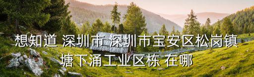 想知道 深圳市 深圳市寶安區松崗鎮塘下涌工業區棟 在哪