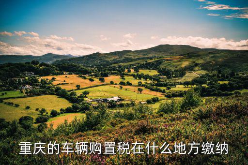 重慶的車輛購置稅在什么地方繳納