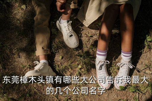 東莞樟木頭鎮有哪些大公司告訴我最大的幾個公司名字