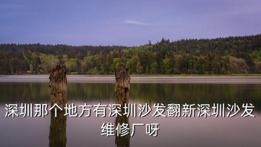 深圳那個地方有深圳沙發翻新深圳沙發維修廠呀