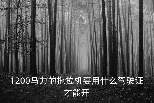 1200馬力的拖拉機要用什么駕駛證才能開