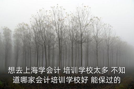 想去上海學(xué)會(huì)計(jì) 培訓(xùn)學(xué)校太多 不知道哪家會(huì)計(jì)培訓(xùn)學(xué)校好 能保過(guò)的