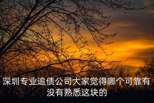 深圳專業(yè)追債公司大家覺得哪個(gè)可靠有沒有熟悉這塊的