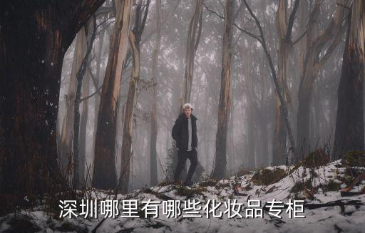 深圳哪里有哪些化妝品專柜