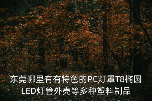 東莞哪里有有特色的PC燈罩T8橢圓LED燈管外殼等多種塑料制品