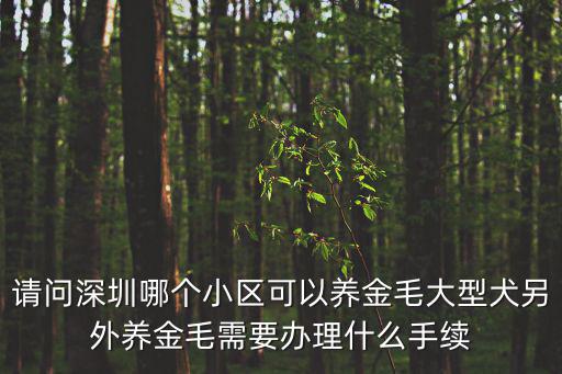 請問深圳哪個小區可以養金毛大型犬另外養金毛需要辦理什么手續