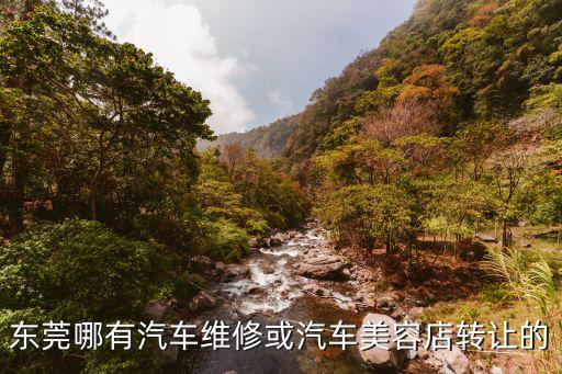 東莞美容院轉讓信息，深圳美容院轉讓