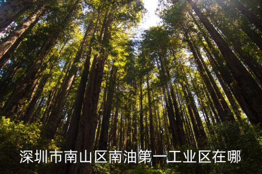 深圳市南山區(qū)南油第一工業(yè)區(qū)在哪