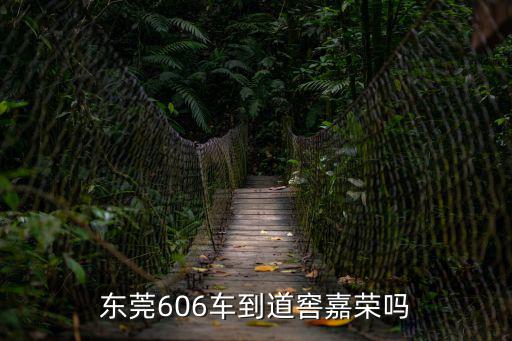 東莞606車(chē)到道窖嘉榮嗎