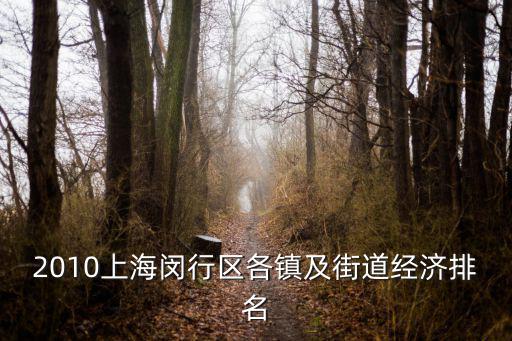 2010上海閔行區各鎮及街道經濟排名