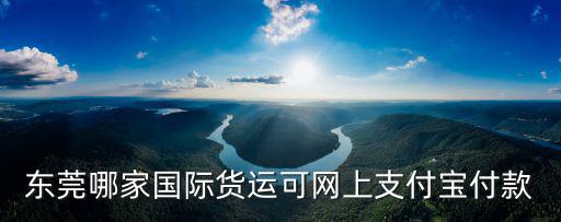 東莞哪家國際貨運(yùn)可網(wǎng)上支付寶付款