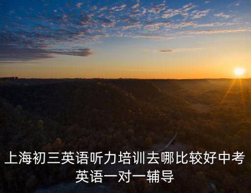 上海初三英語聽力培訓去哪比較好中考英語一對一輔導
