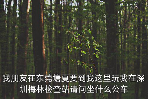 我朋友在東莞塘夏要到我這里玩我在深圳梅林檢查站請問坐什么公車