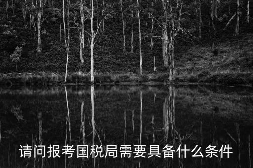 請問報考國稅局需要具備什么條件