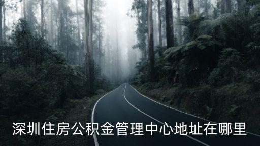深圳住房公積金管理中心，深圳市住房公積金管理中心網(wǎng)址