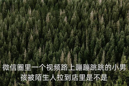 微信圈里一個視頻路上蹦蹦跳跳的小男孩被陌生人拉到店里是不是