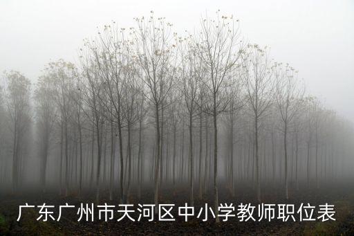 廣東廣州市天河區(qū)中小學(xué)教師職位表