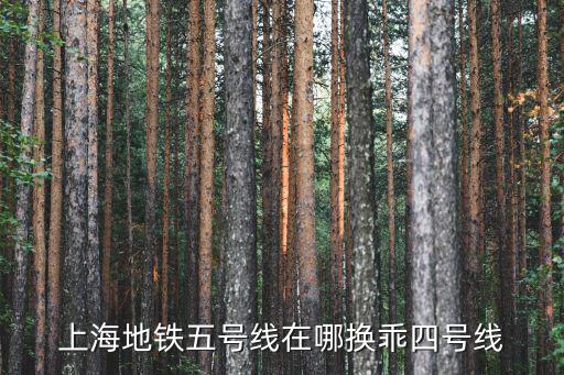 上海地鐵五號線在哪換乖四號線