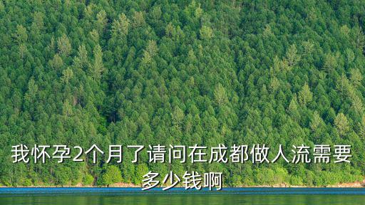 成都市二院人流多少錢，成都市青羊區第二人民醫院做人流多少