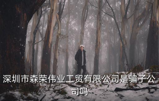深圳市森榮偉業工貿有限公司是騙子公司嗎