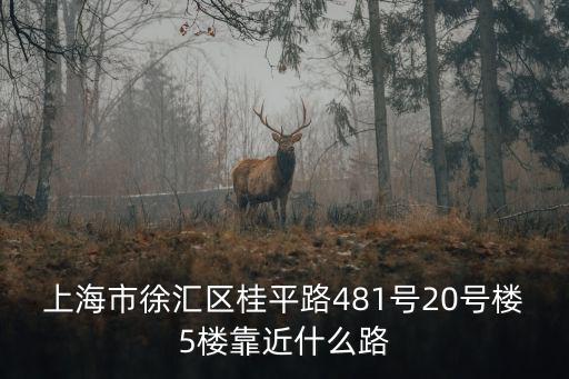 上海市徐匯區桂平路旺安賓館，CoolVR 公司地址是哪里