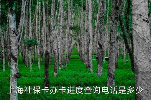上海市寶山區(qū)社保客服電話，想知道 上海市寶山社保所在哪