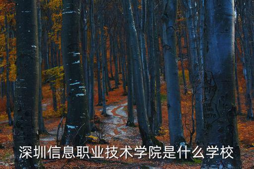 深圳信息職業技術學院，深圳信息職業技術學院是什么學校