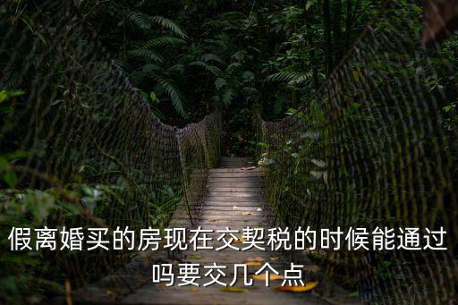 深圳假離婚買房契稅，用假離婚證購房退契稅后果