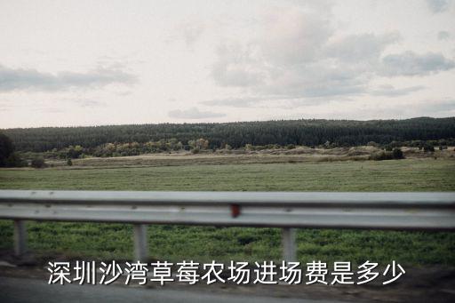 深圳沙灣草莓農場進場費是多少